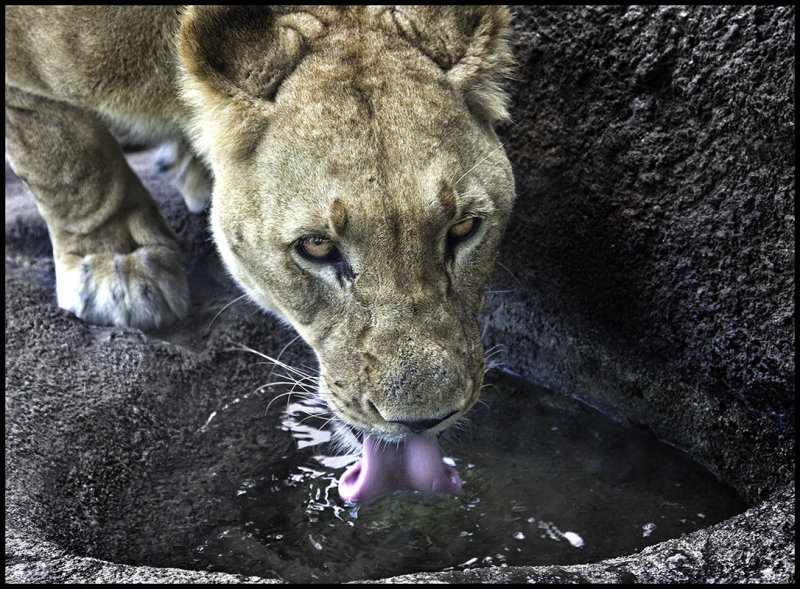 Wary water break