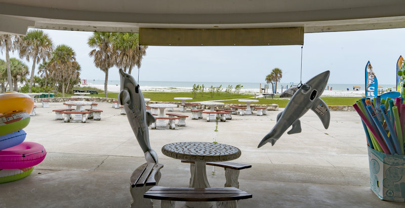 Food Counter View