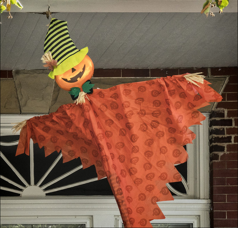 A Flighty Figure