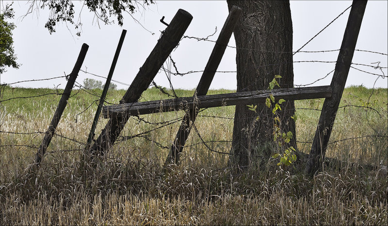 Rack and Ruin