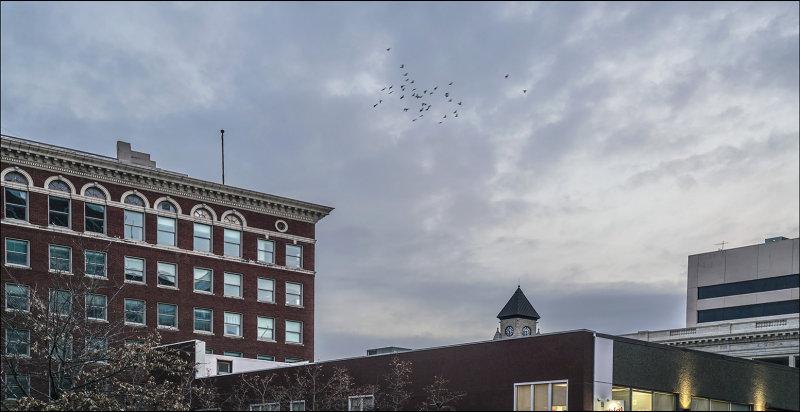 Downtown at Dusk