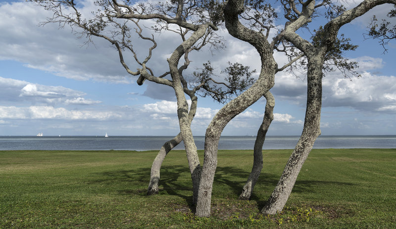 St. Pete Park