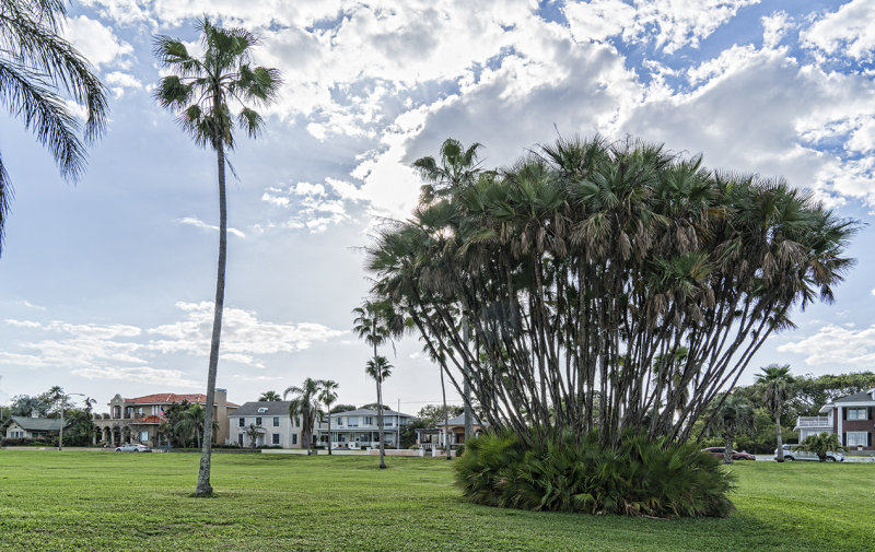 Homes Facing The Lake