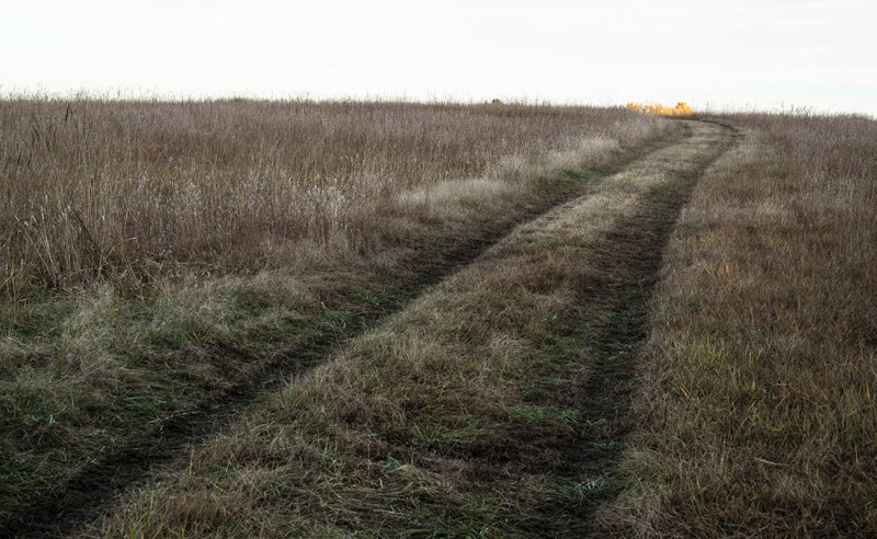 Truck Tracks