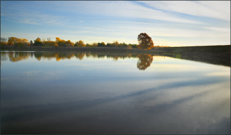 Early Morning