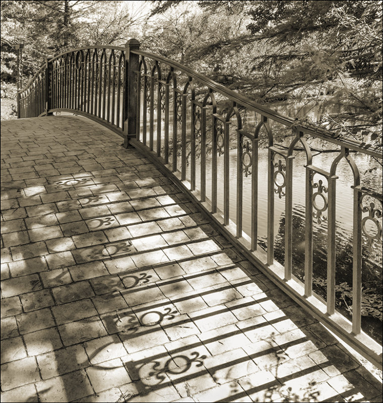 Light and Shadow