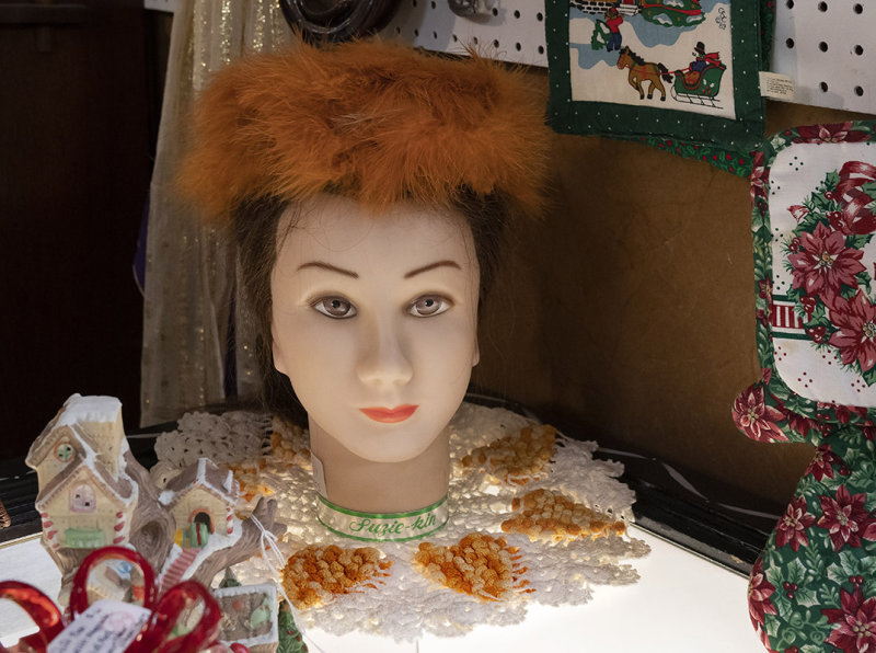 Elegant Mannequin