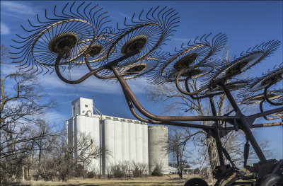 Wheel Rake and Grain Elevator