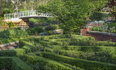 Formal Garden Area