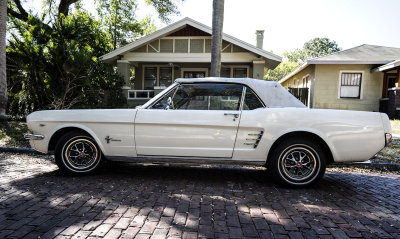 My Son in Law's '66  Mustang