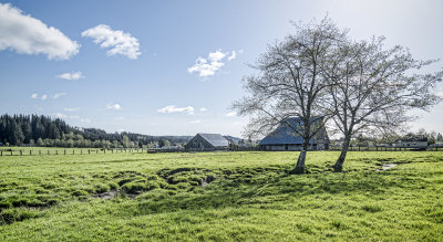 Pasture