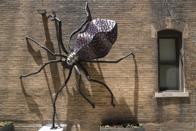 Spider by Local Artist  Mike Miller
