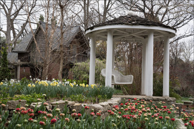 A Cloudy, Cold day at The Arboretum, Belle Plaine,  Kansas