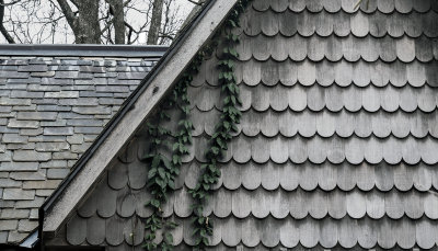 Residence Detail