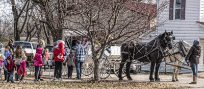 On line For a Buggy Ride