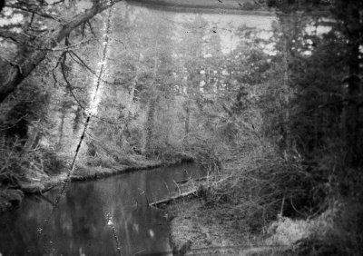 Expired Film Day