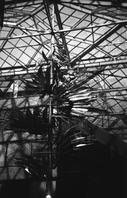Box Camera Week 2017 #boxcamweek