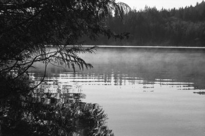 g10/12/1117112/3/166632625.uTw8v0fr.jpg