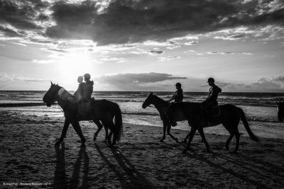 20140819_0011 Bredene-Bearbeitet web.jpg