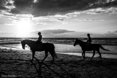 20140819_0014 Bredene-Bearbeitet web.jpg