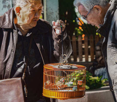 Bird Men, Aberdeen Village, Hong Kong