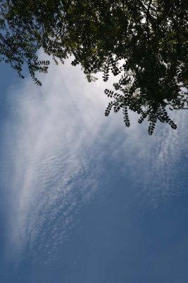 170505-9135.jpg