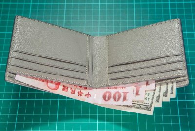 Bifold wallet