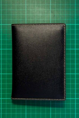 Passport Holder