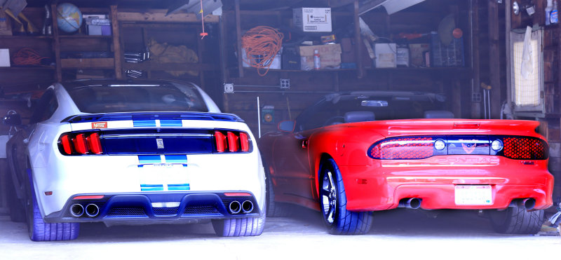 Trans Am WS6 Ram Air x (2)