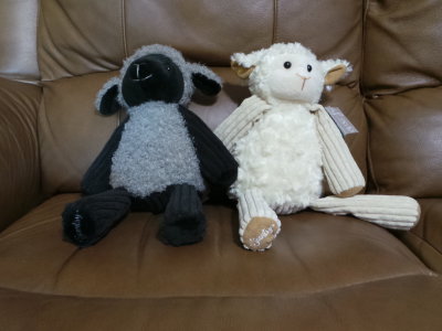 SOLD - Lenny & Lulu the lambs