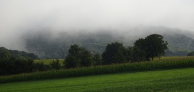 August in Alsace