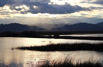 Whitewater Draw, AZ