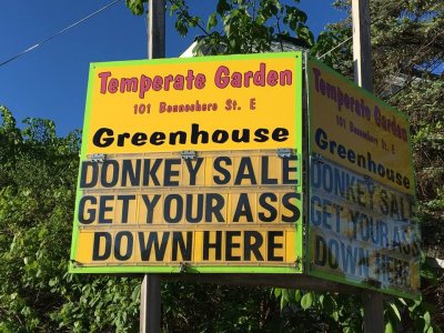Funny Signs ( 3 Galleries)