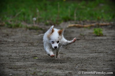 June10_17_041.jpg