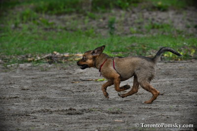 June10_17_058.jpg