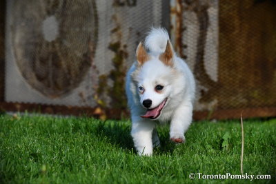 June16_17_068.jpg