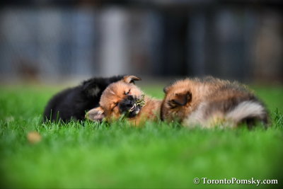 Aug6_17_066.jpg