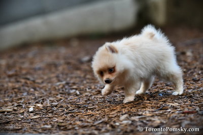Sept4_17_027.jpg
