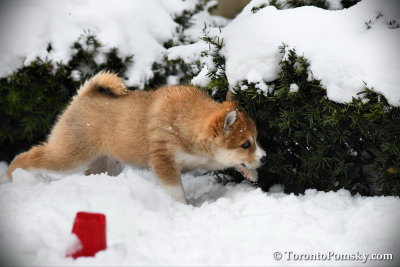 Jan8_18_070.jpg