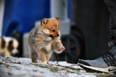 Jan19_18_125.jpg
