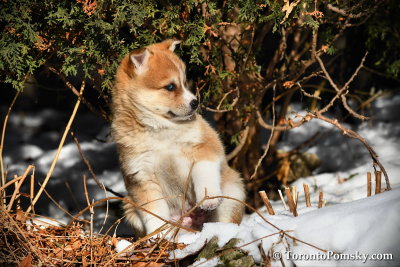 Jan4_18_555.jpg