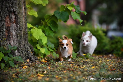 Oct13_18_206.jpg