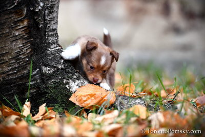 Nov25_18_216.jpg