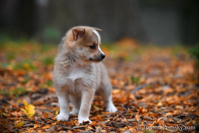 Oct24_18_127.jpg