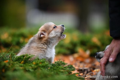 Oct24_18_151.jpg