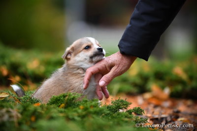 Oct24_18_153.jpg