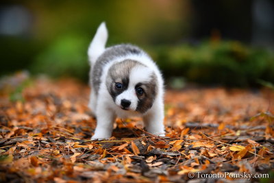 Oct24_18_160.jpg