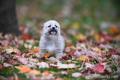 Oct24_18_061.jpg