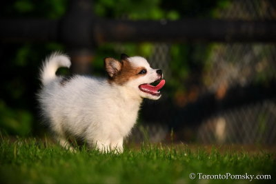 July1_18_119.jpg