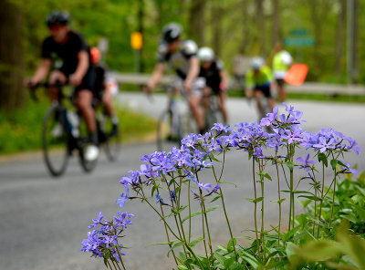 Tour of the Battenkill 2016